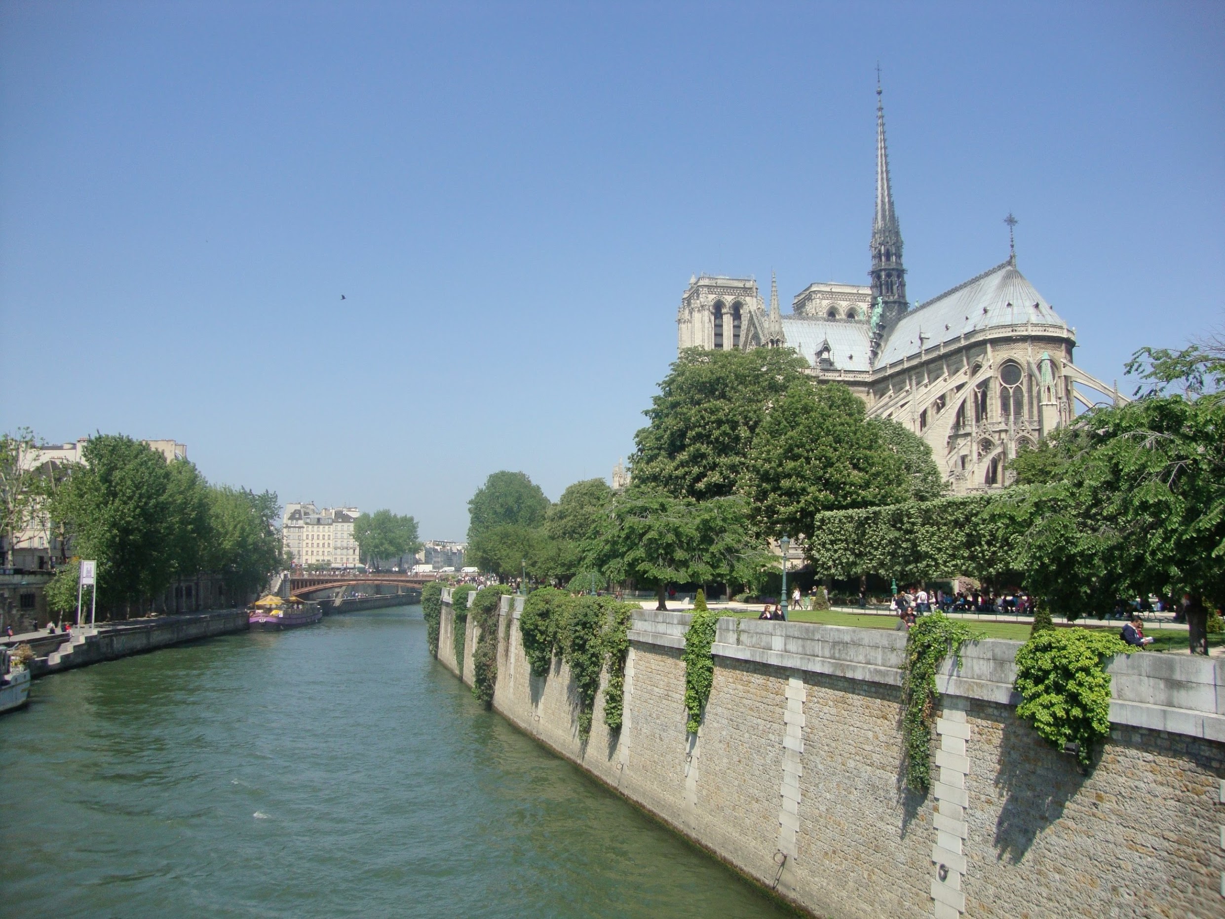 Does your Dog bite?….