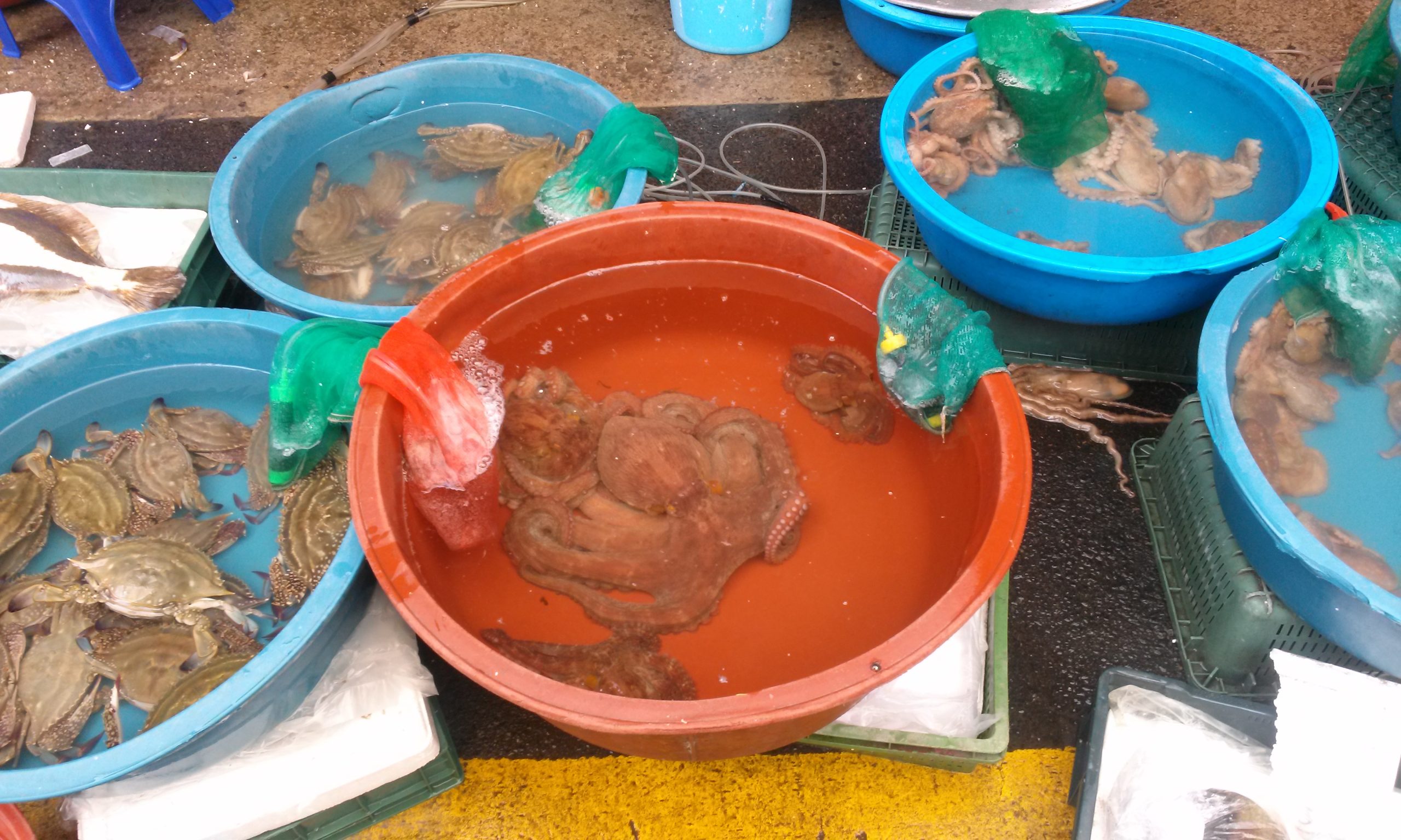 Why is the bus getting on the highway…