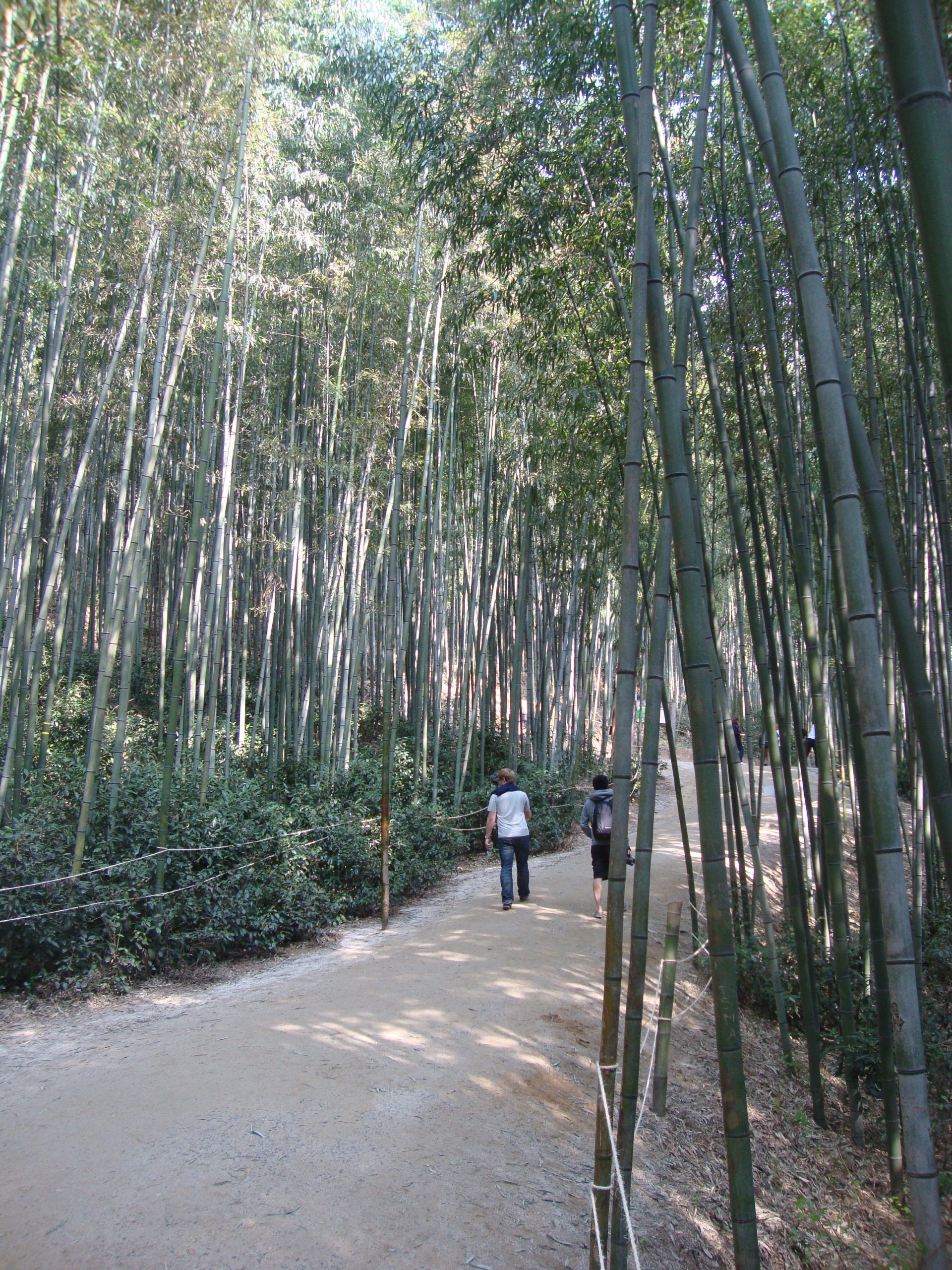 Traditional Korean architecture
