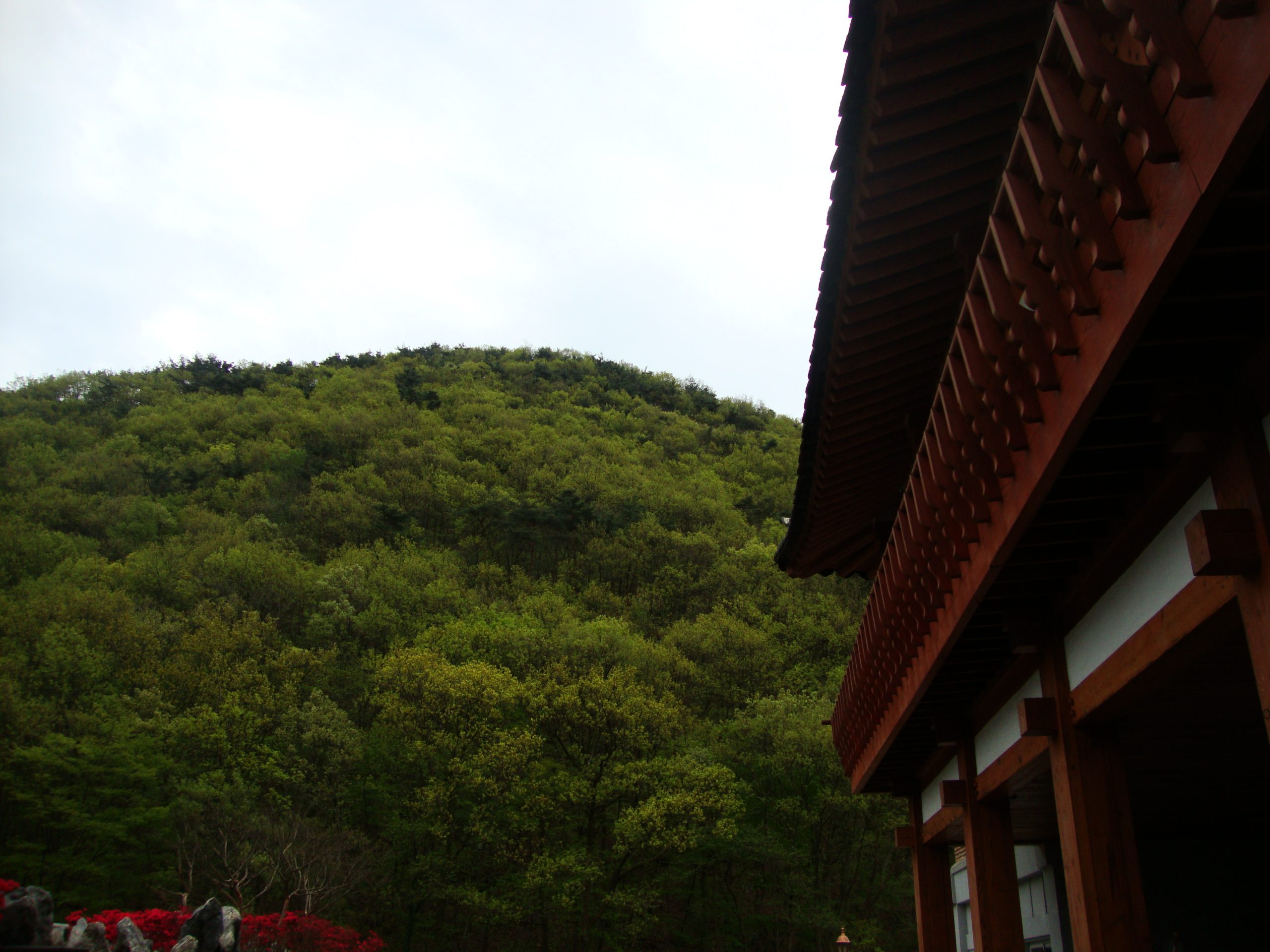 Baseball game action